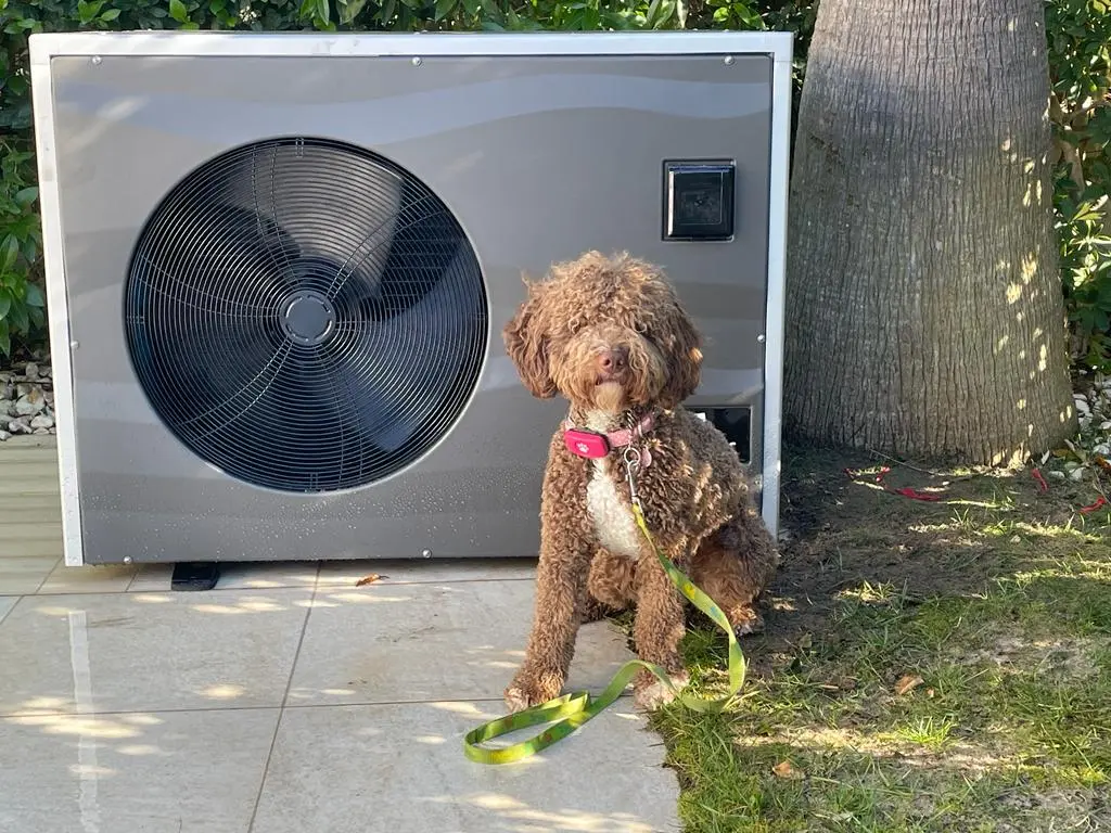 Pool Heat Pumps