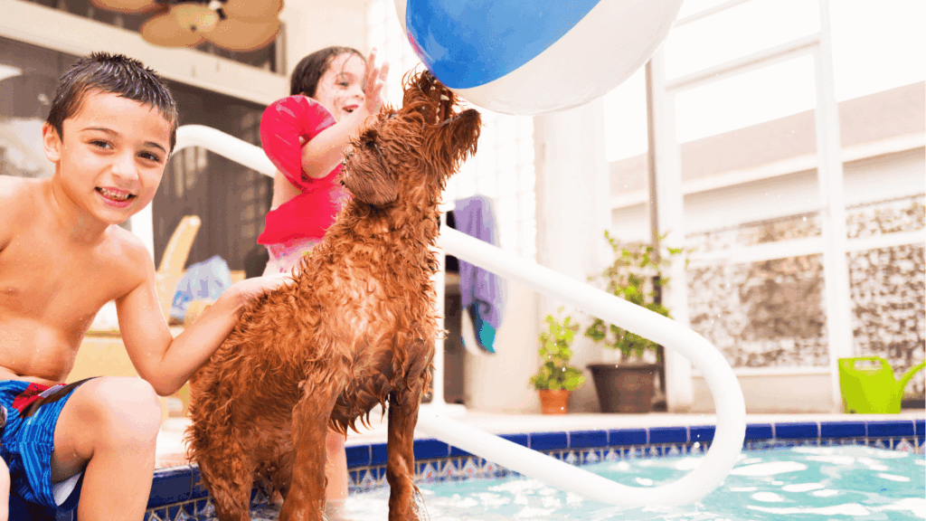 Segurança na piscina para crianças e animais