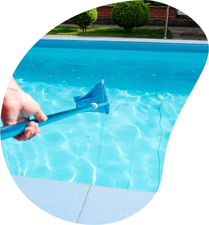 pool maintenance service in faro