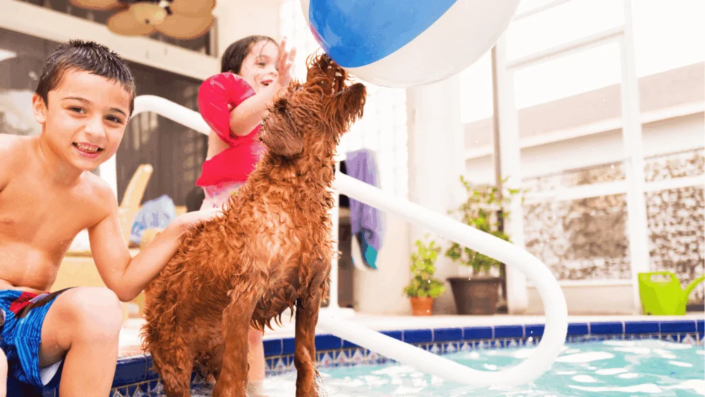 Pool Safety for Kids and Pets